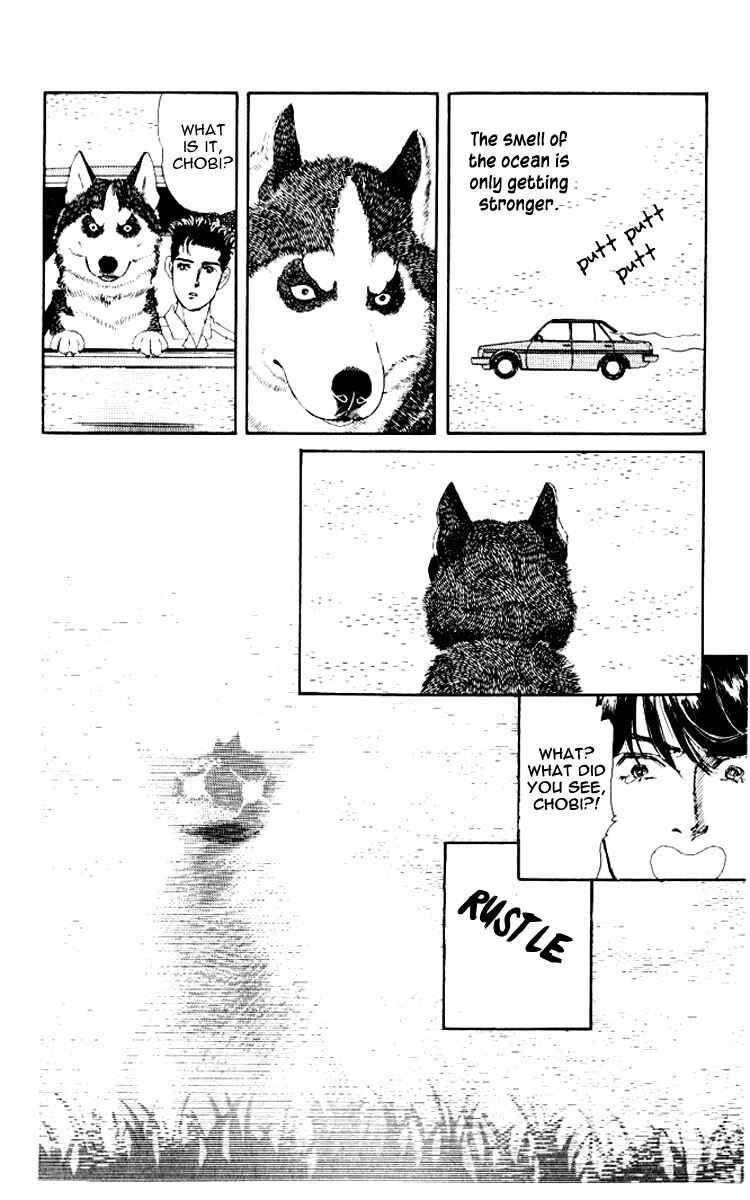 Page 13 Chapter 56 The Animal Doctor
