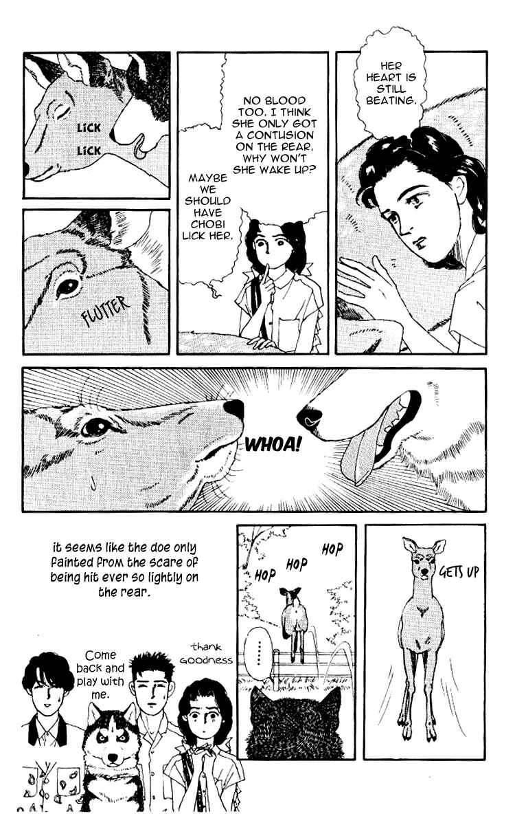 Page 17 Chapter 56 The Animal Doctor