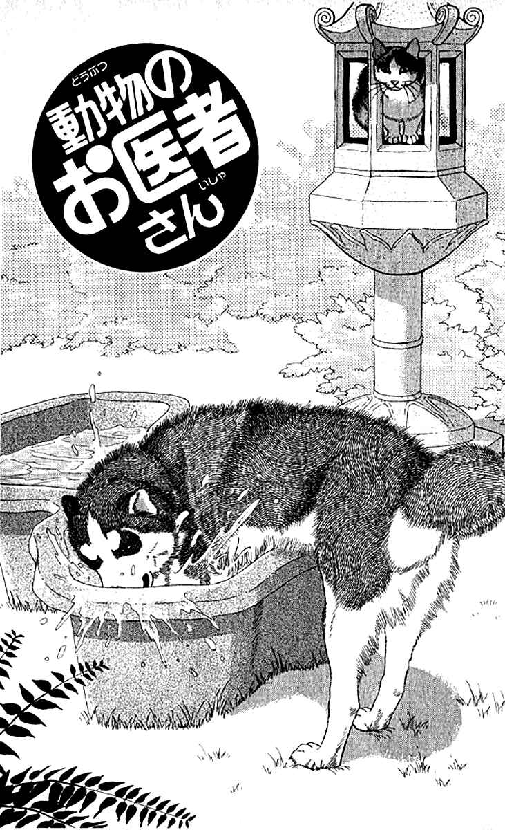 Page 3 Chapter 75 The Animal Doctor
