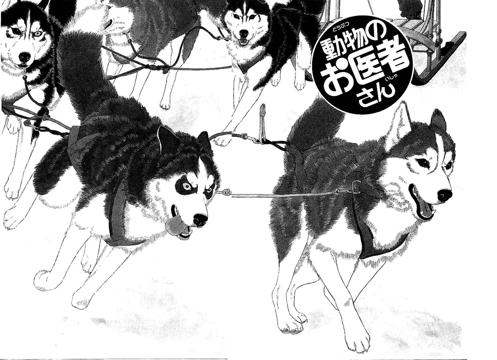 Page 3 Chapter 85 The Animal Doctor