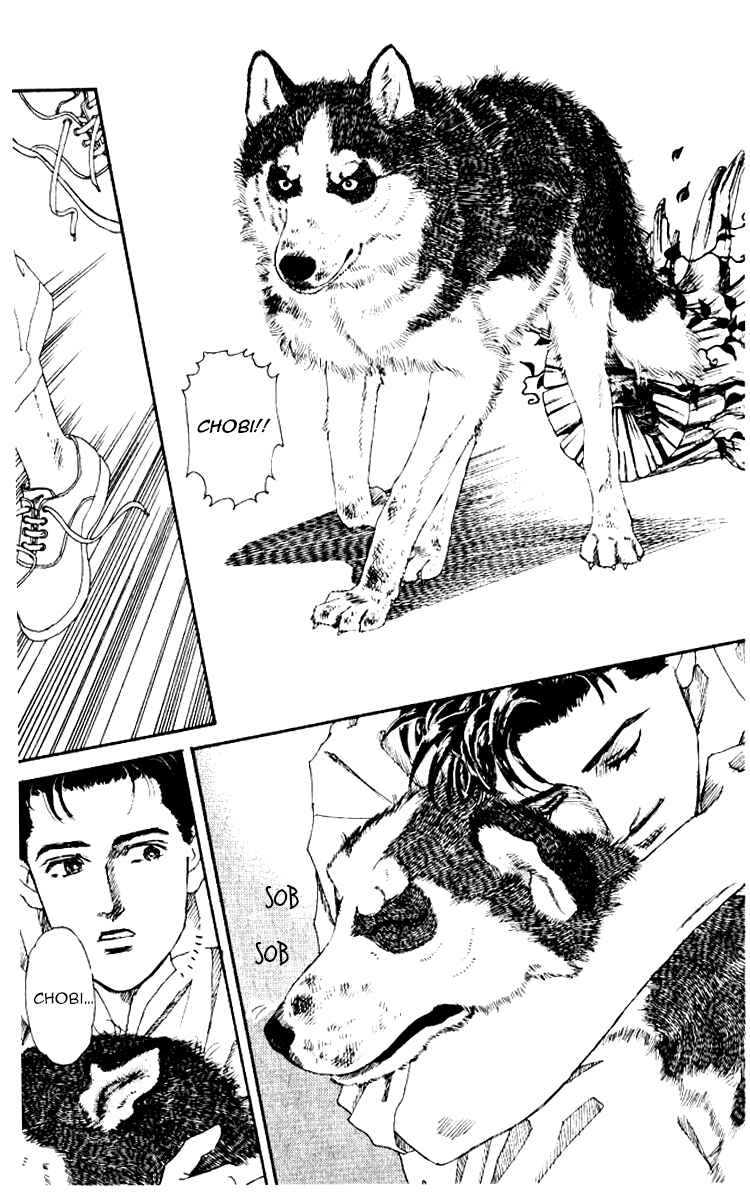 Page 18 Chapter 55 The Animal Doctor