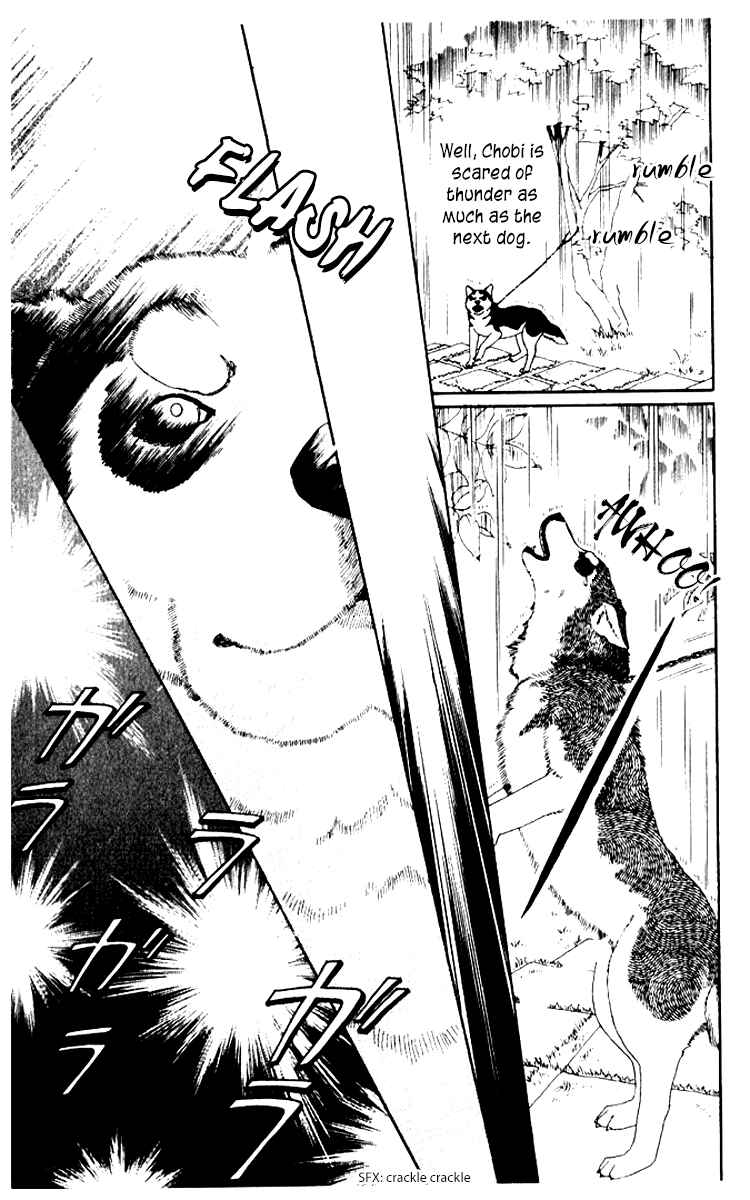Page 7 Chapter 55 The Animal Doctor