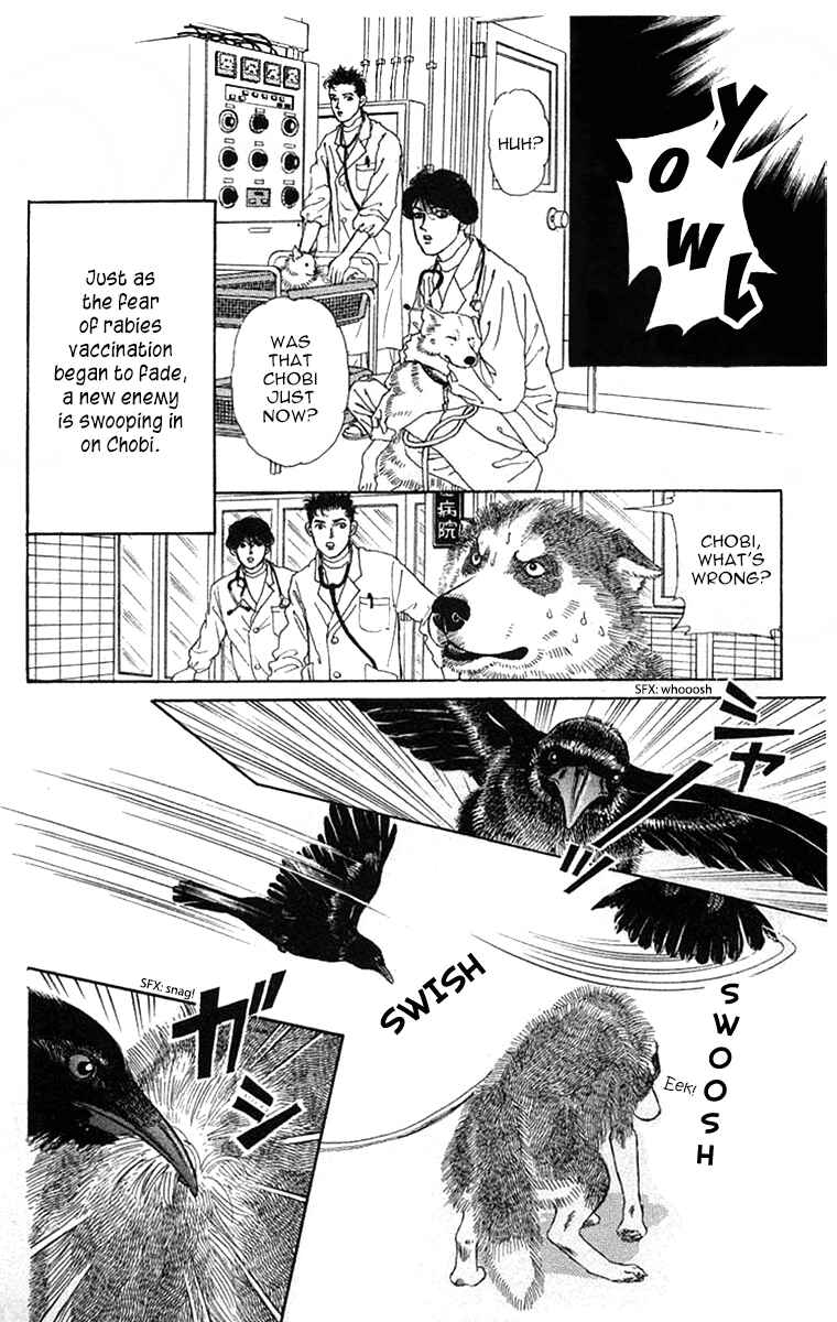 Page 3 Chapter 110 The Animal Doctor