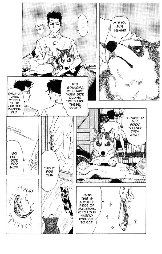 Page 8 Chapter 14 The Animal Doctor
