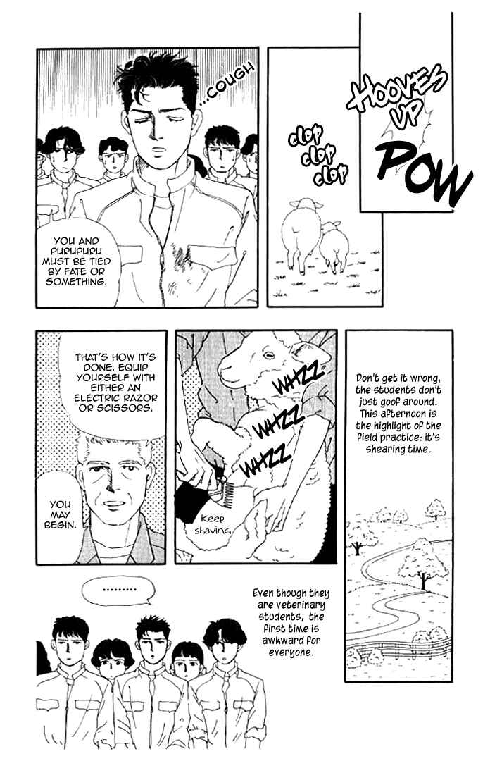 Page 12 Chapter 15 The Animal Doctor