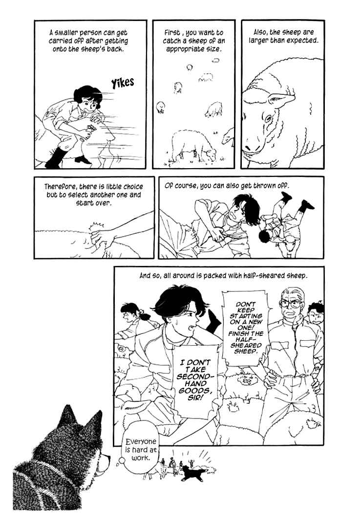 Page 13 Chapter 15 The Animal Doctor