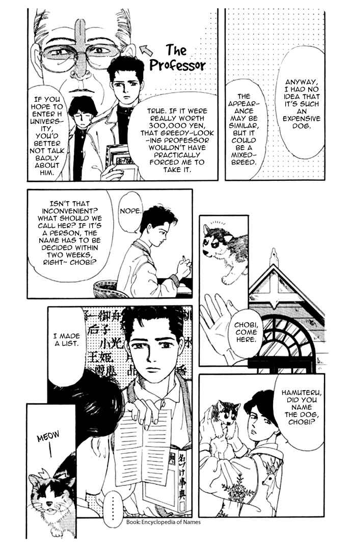 Page 11 Chapter 2 The Animal Doctor