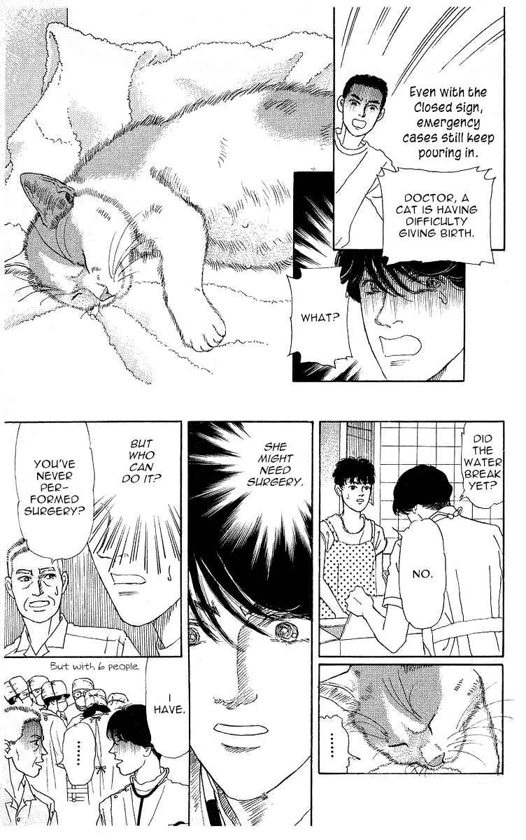 Page 11 Chapter 111 The Animal Doctor