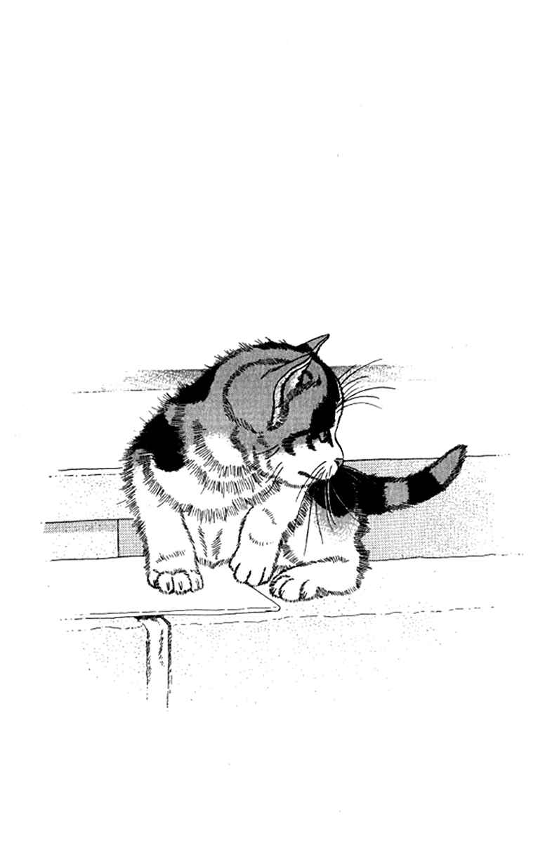 Page 21 Chapter 92 The Animal Doctor