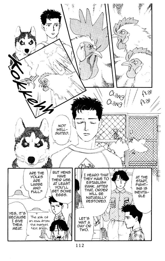 Page 8 Chapter 18 The Animal Doctor