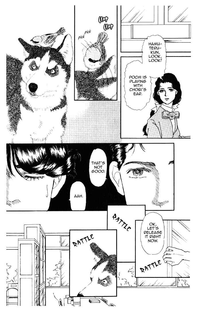 Page 14 Chapter 13 The Animal Doctor