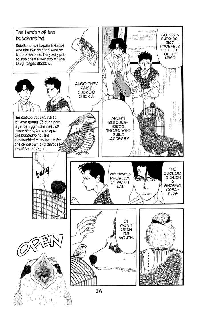 Page 4 Chapter 13 The Animal Doctor