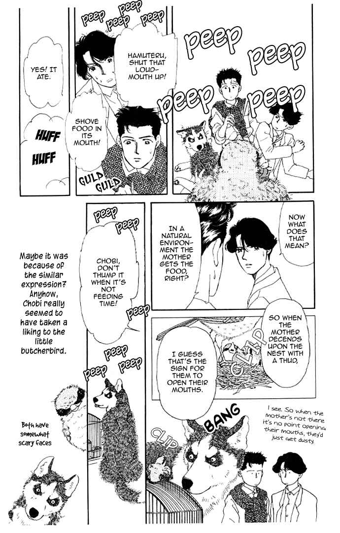 Page 5 Chapter 13 The Animal Doctor