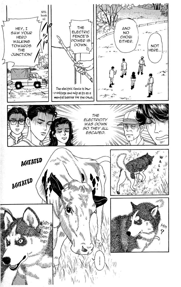 Page 11 Chapter 112 The Animal Doctor