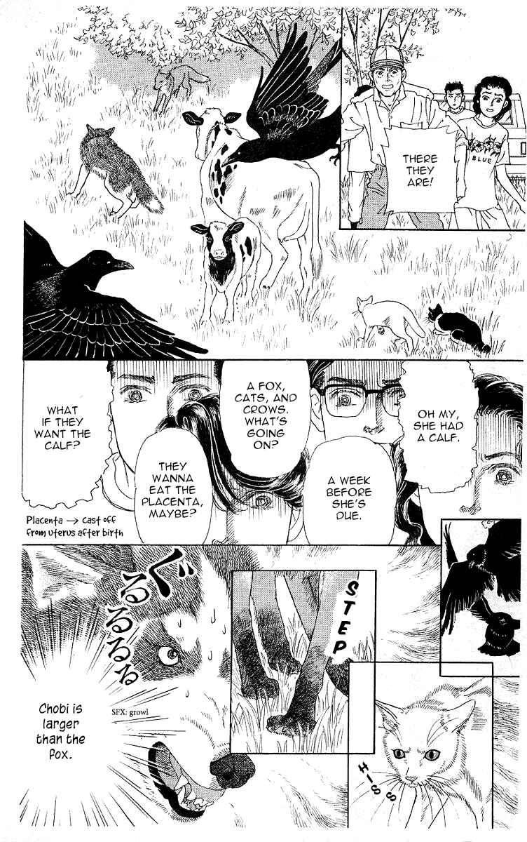 Page 16 Chapter 112 The Animal Doctor