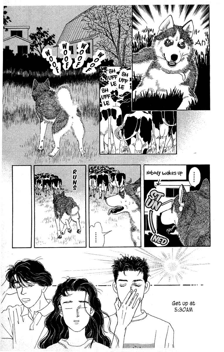 Page 9 Chapter 112 The Animal Doctor