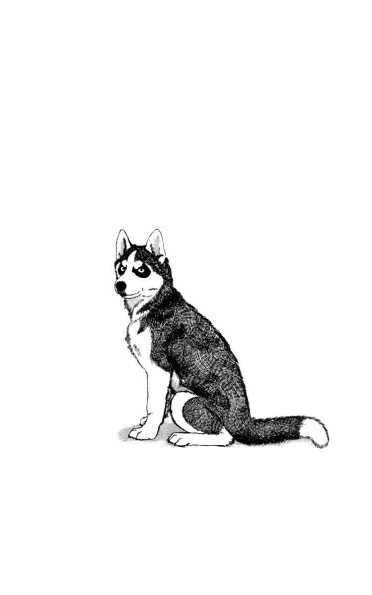 Page 4 Chapter 63 The Animal Doctor