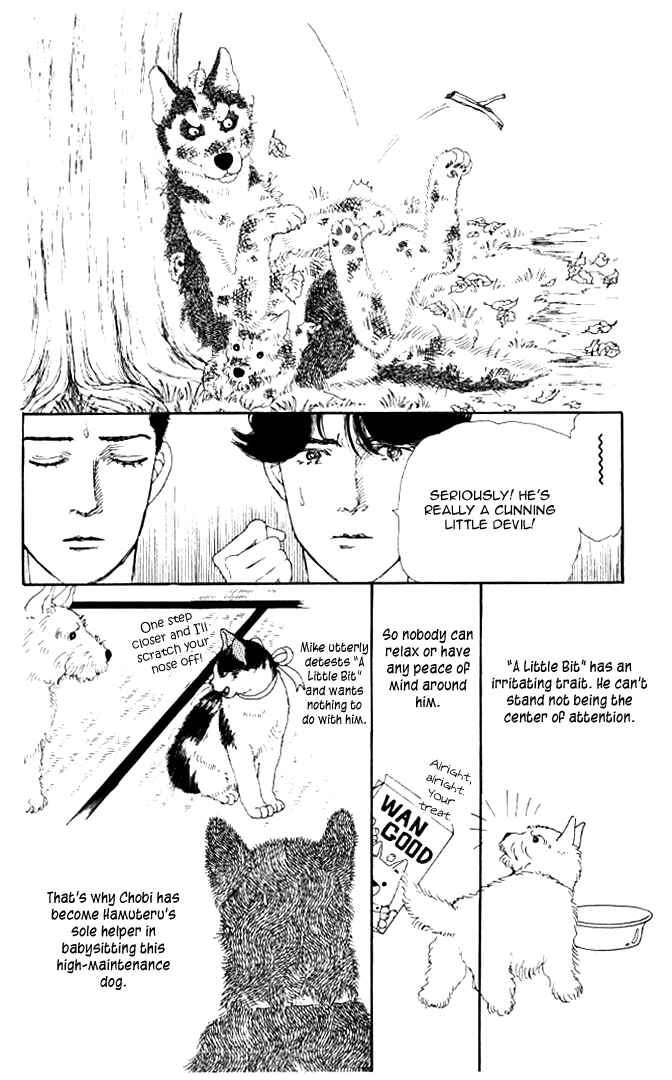 Page 11 Chapter 20 The Animal Doctor