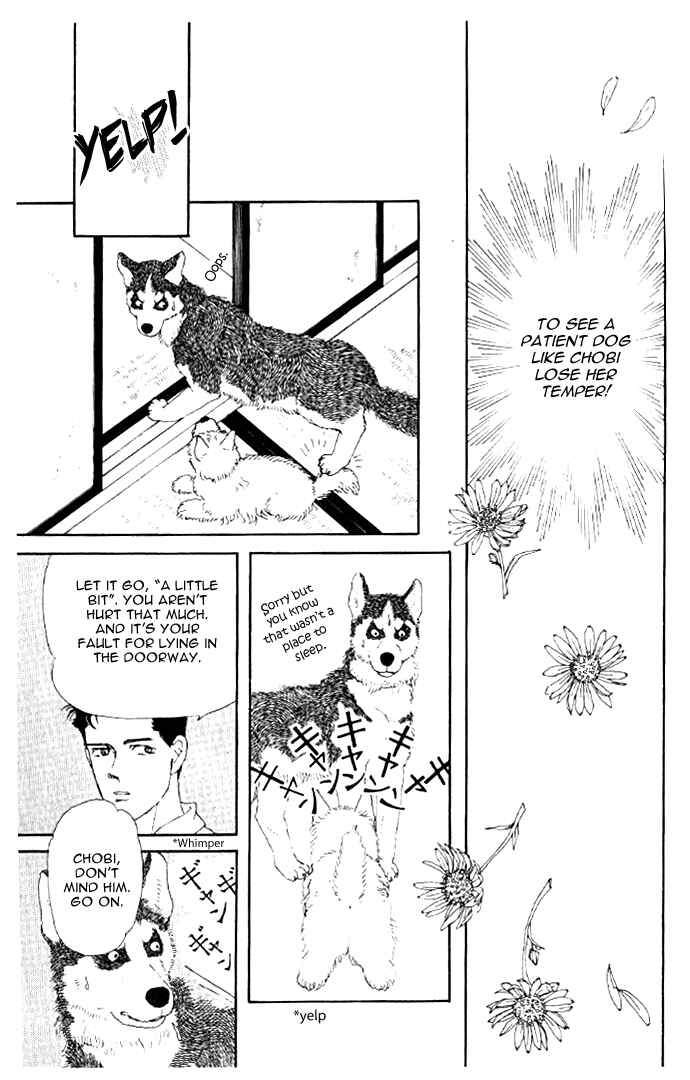 Page 14 Chapter 20 The Animal Doctor