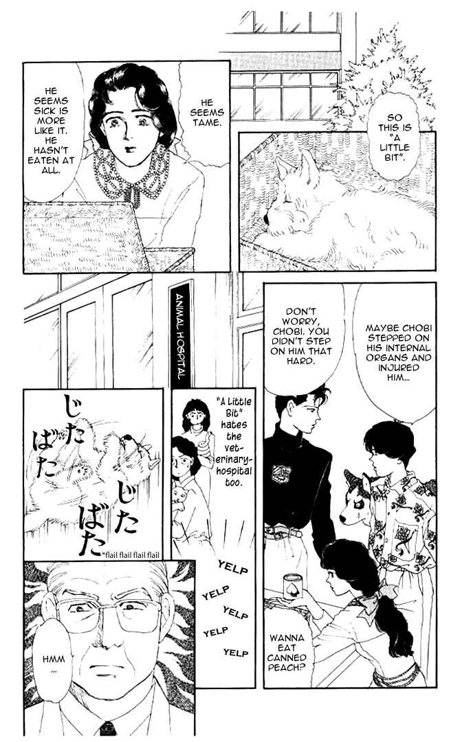 Page 15 Chapter 20 The Animal Doctor