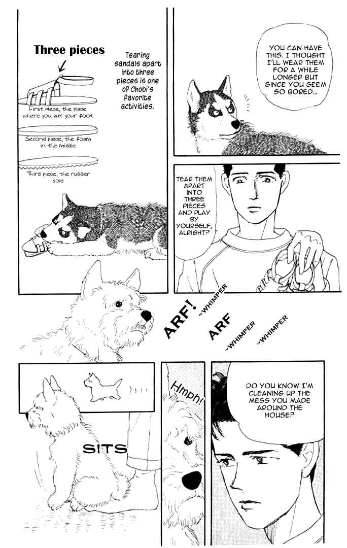 Page 19 Chapter 20 The Animal Doctor