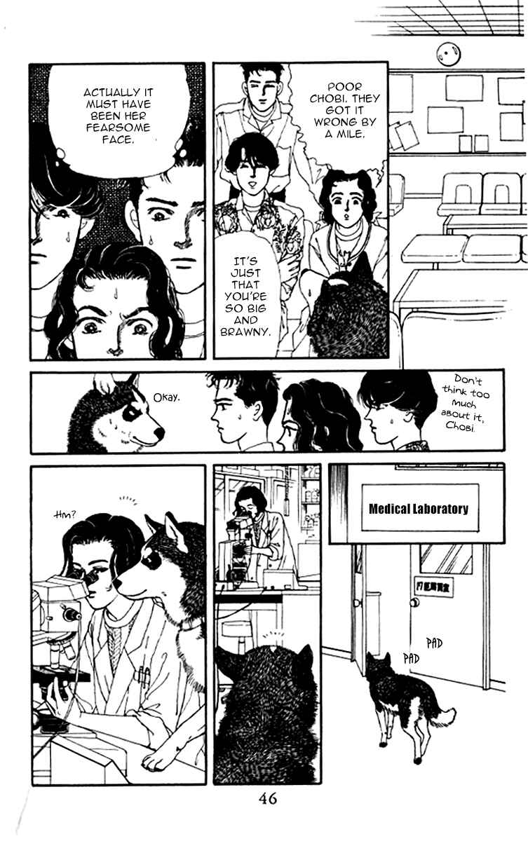 Page 6 Chapter 93 The Animal Doctor