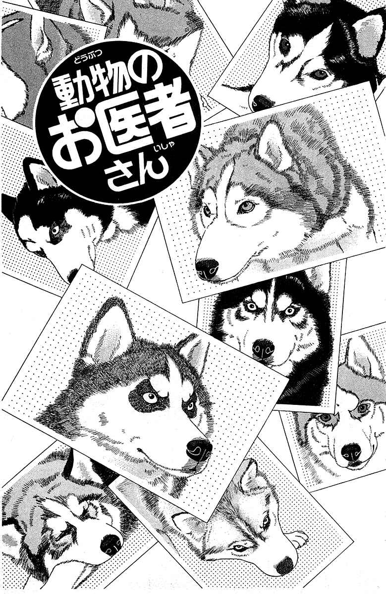 Page 3 Chapter 84 The Animal Doctor