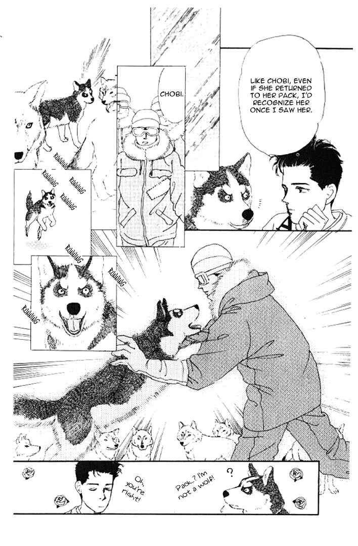 Page 13 Chapter 22 The Animal Doctor