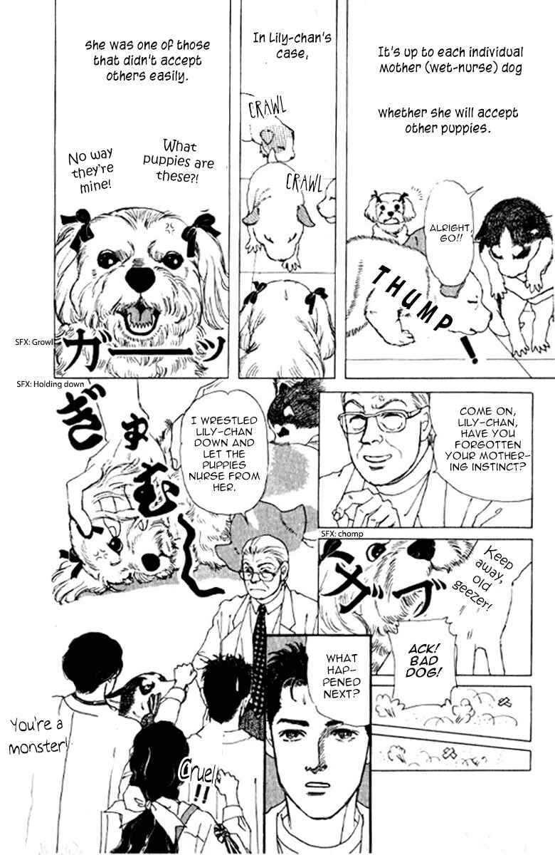 Page 17 Chapter 72 The Animal Doctor
