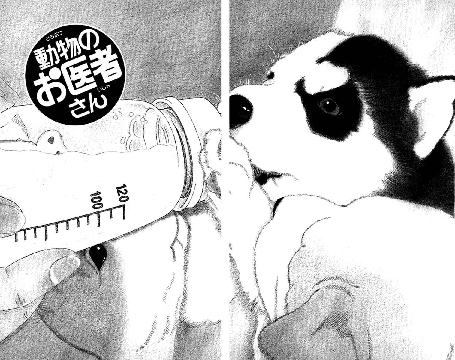 Page 6 Chapter 72 The Animal Doctor
