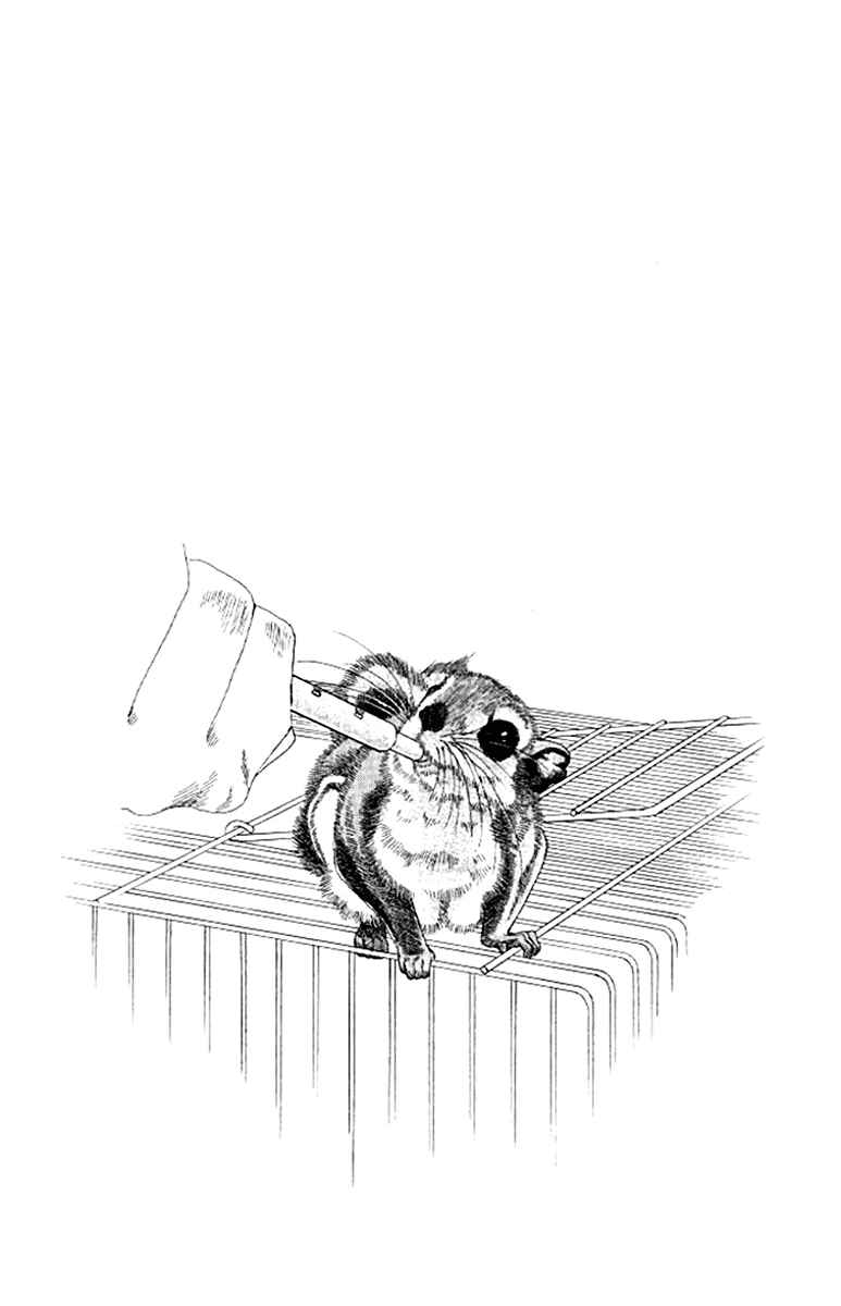 Page 3 Chapter 98 The Animal Doctor