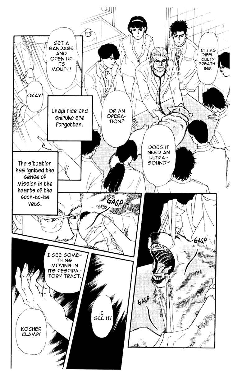 Page 17 Chapter 53 The Animal Doctor