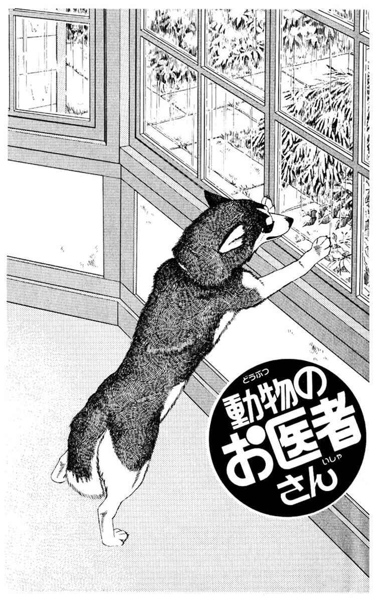 Page 4 Chapter 53 The Animal Doctor