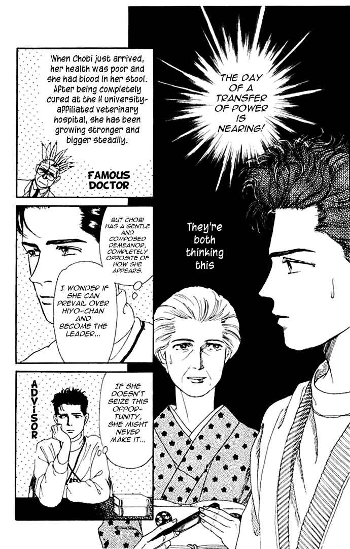 Page 11 Chapter 9 The Animal Doctor