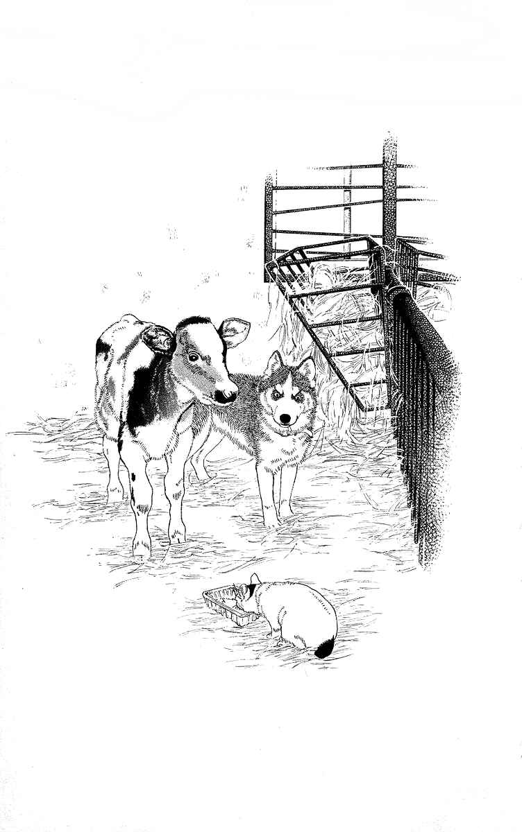 Page 1 Chapter 113 The Animal Doctor
