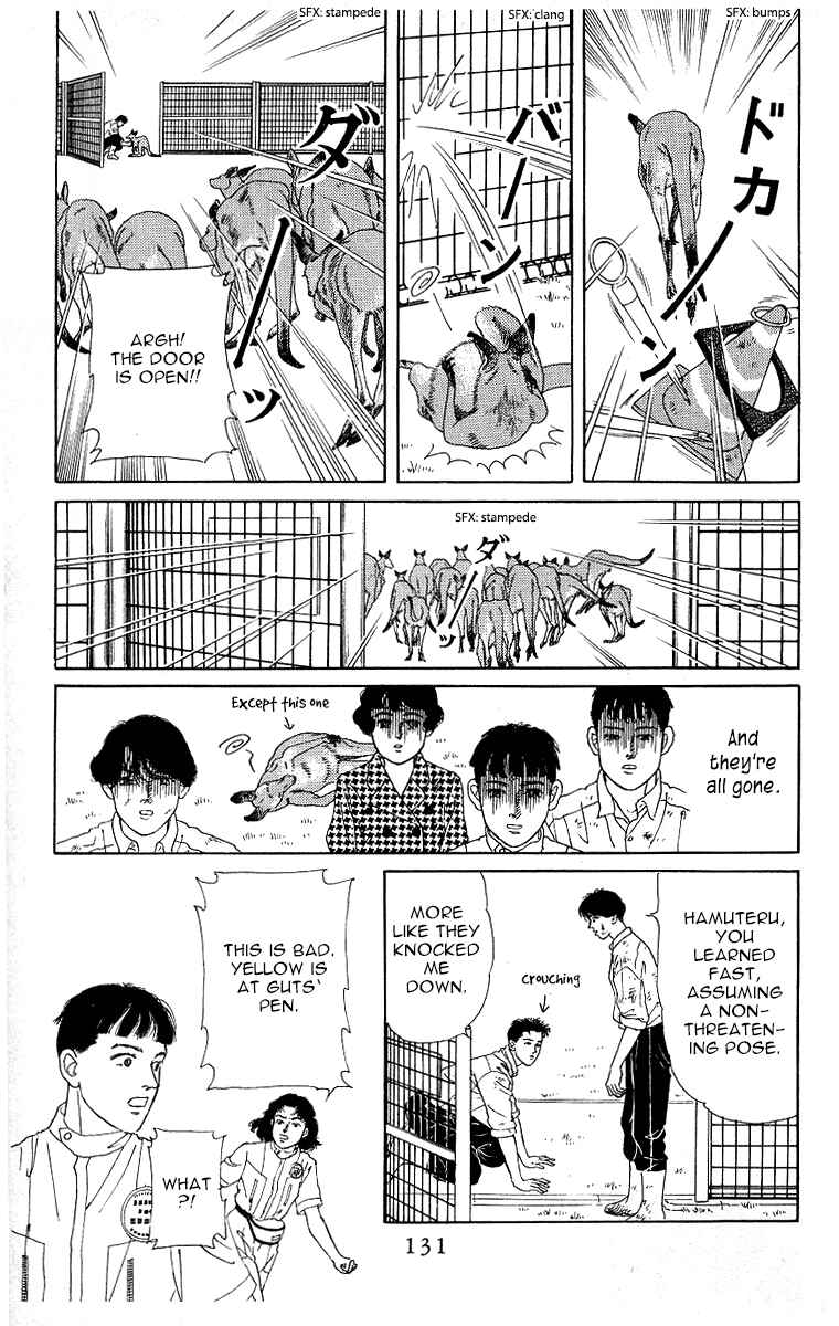 Page 13 Chapter 116 The Animal Doctor