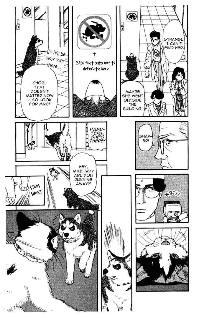 Page 13 Chapter 6 The Animal Doctor