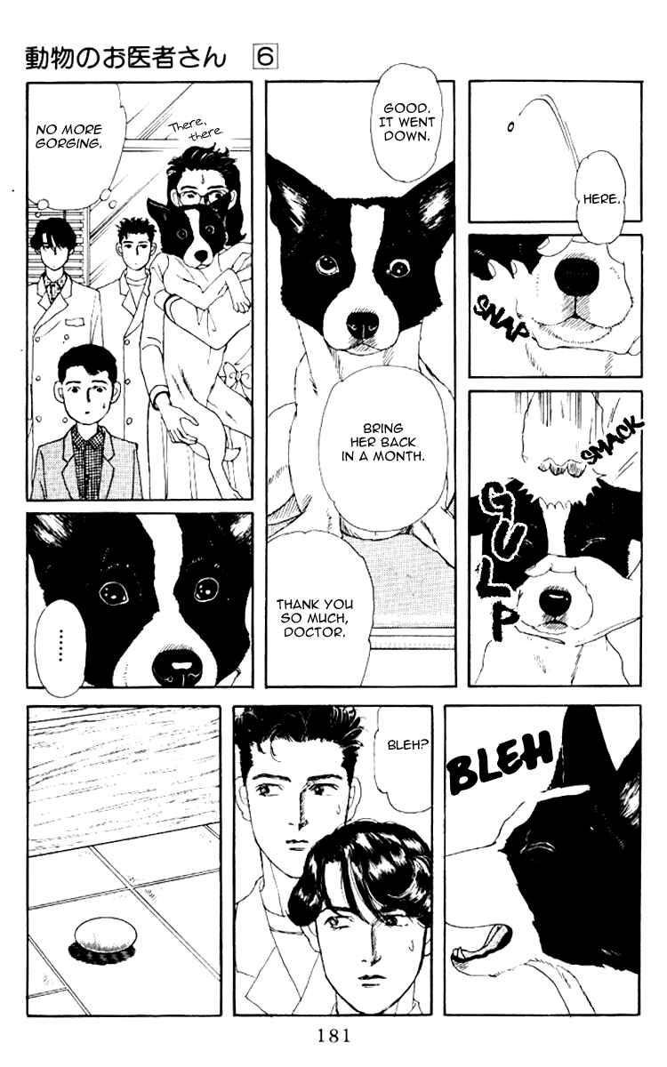 Page 13 Chapter 62 The Animal Doctor