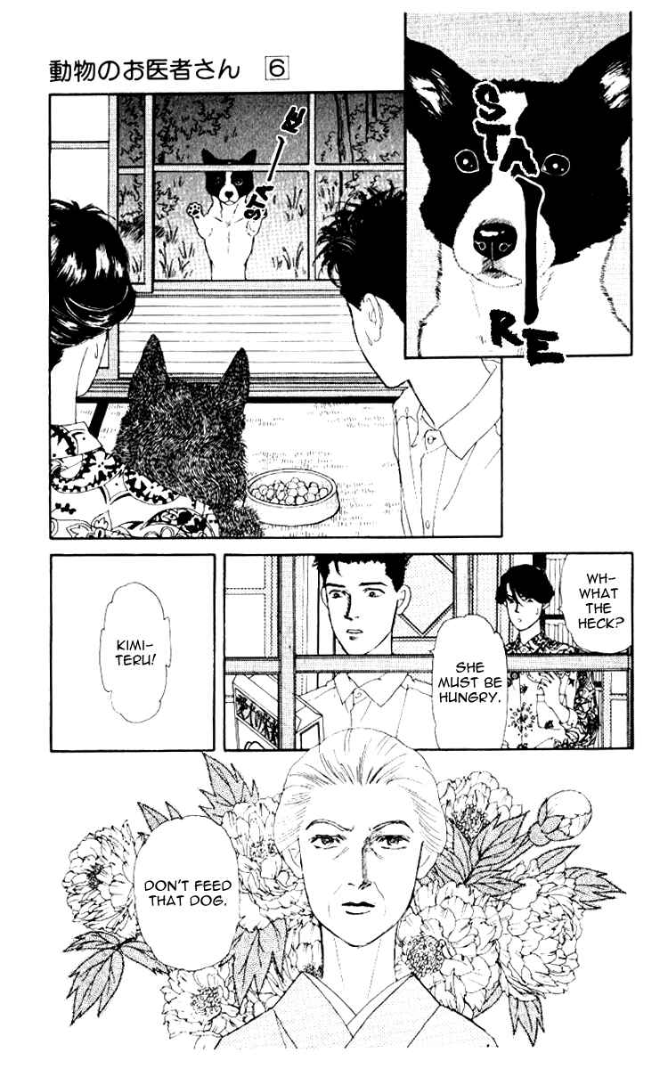 Page 3 Chapter 62 The Animal Doctor