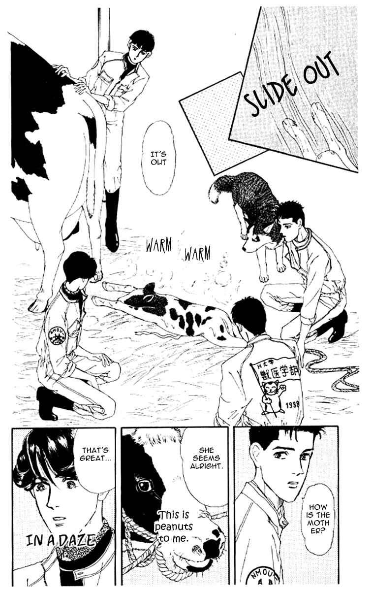 Page 17 Chapter 46 The Animal Doctor