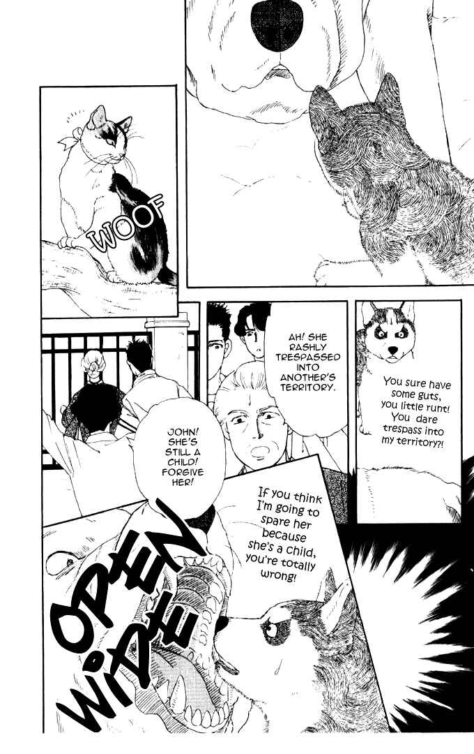 Page 15 Chapter 26 The Animal Doctor