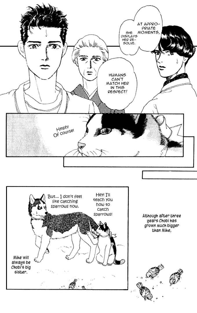 Page 19 Chapter 26 The Animal Doctor