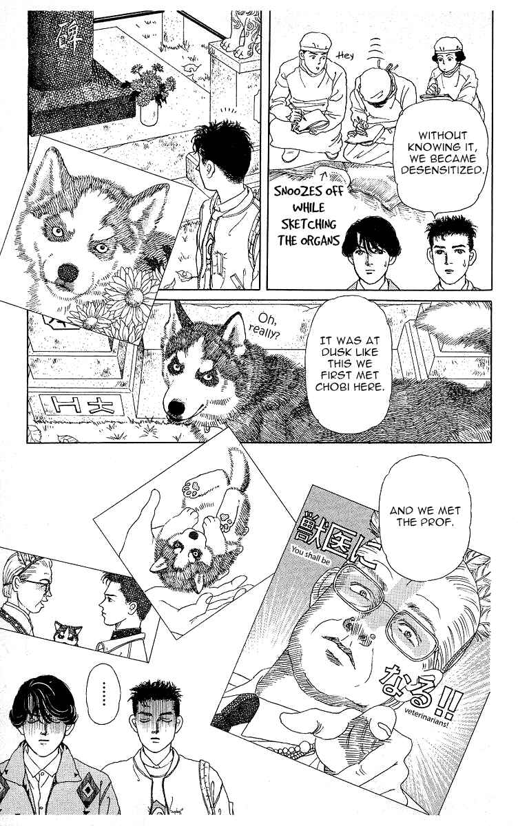 Page 7 Chapter 118 The Animal Doctor