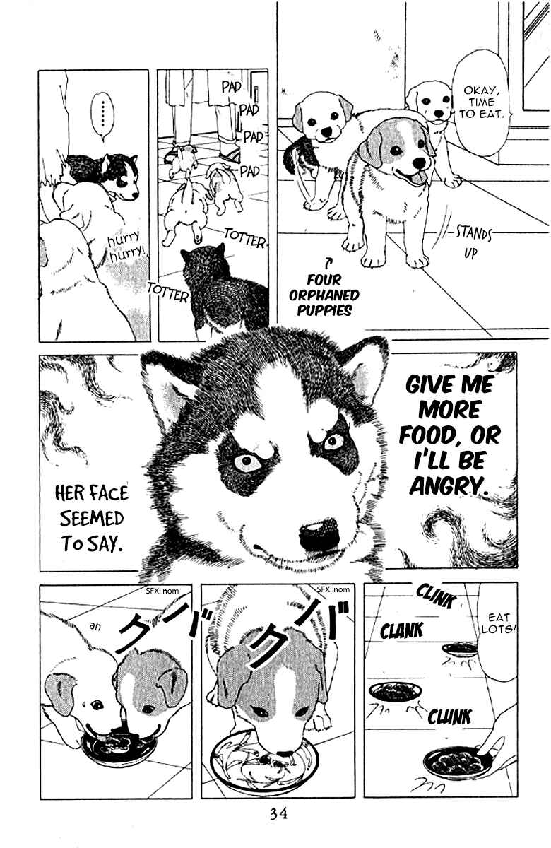 Page 6 Chapter 73 The Animal Doctor