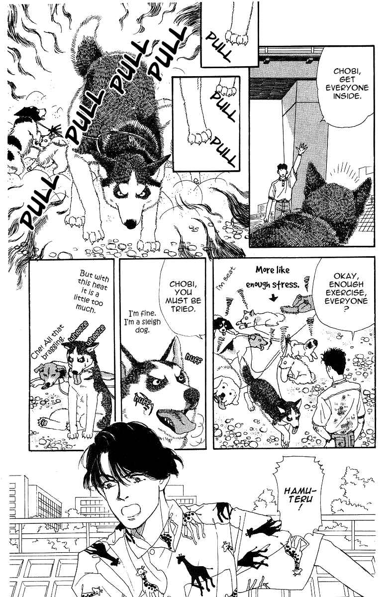 Page 15 Chapter 33 The Animal Doctor