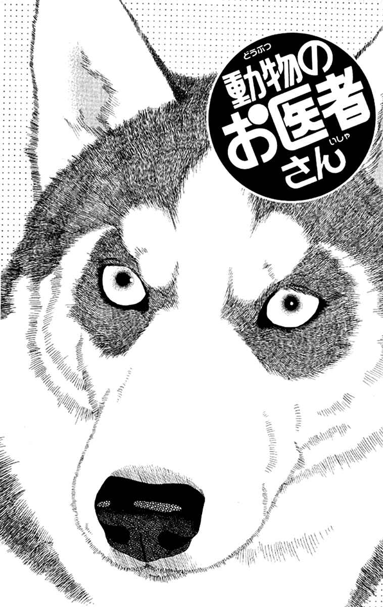 Page 2 Chapter 97 The Animal Doctor