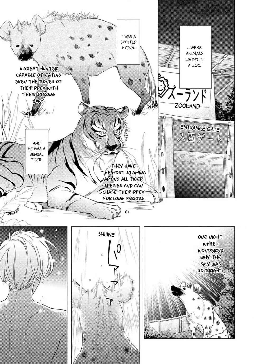 Page 10 Chapter 7 Meteoric Milky Night