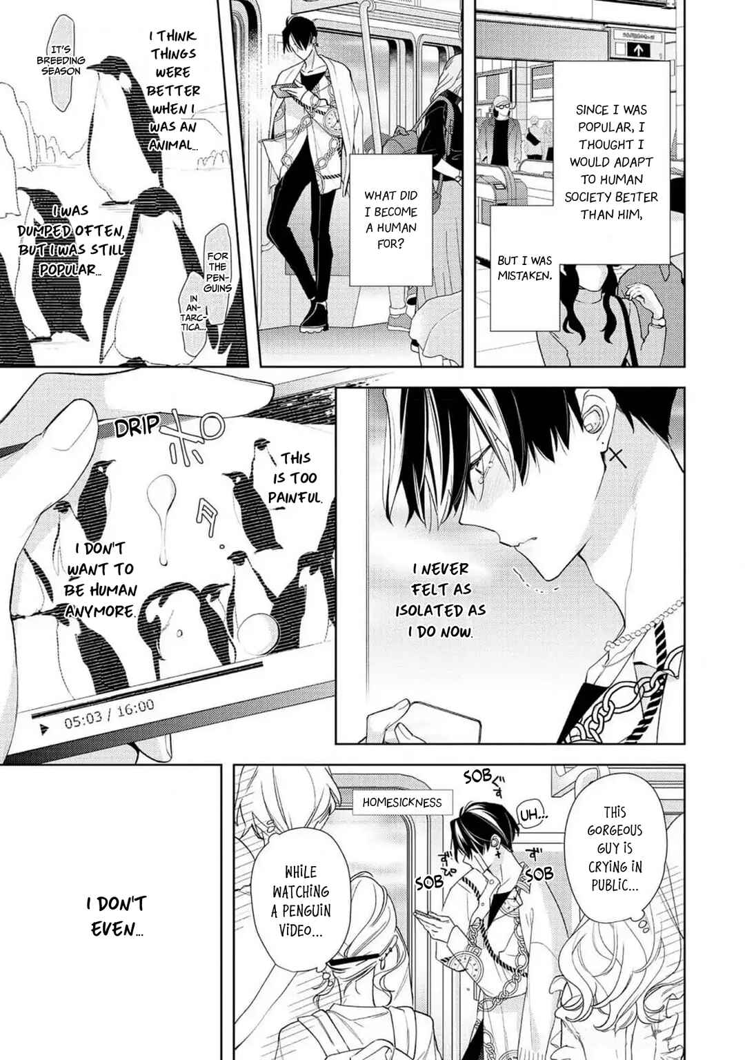 Page 8 Chapter 5 Meteoric Milky Night