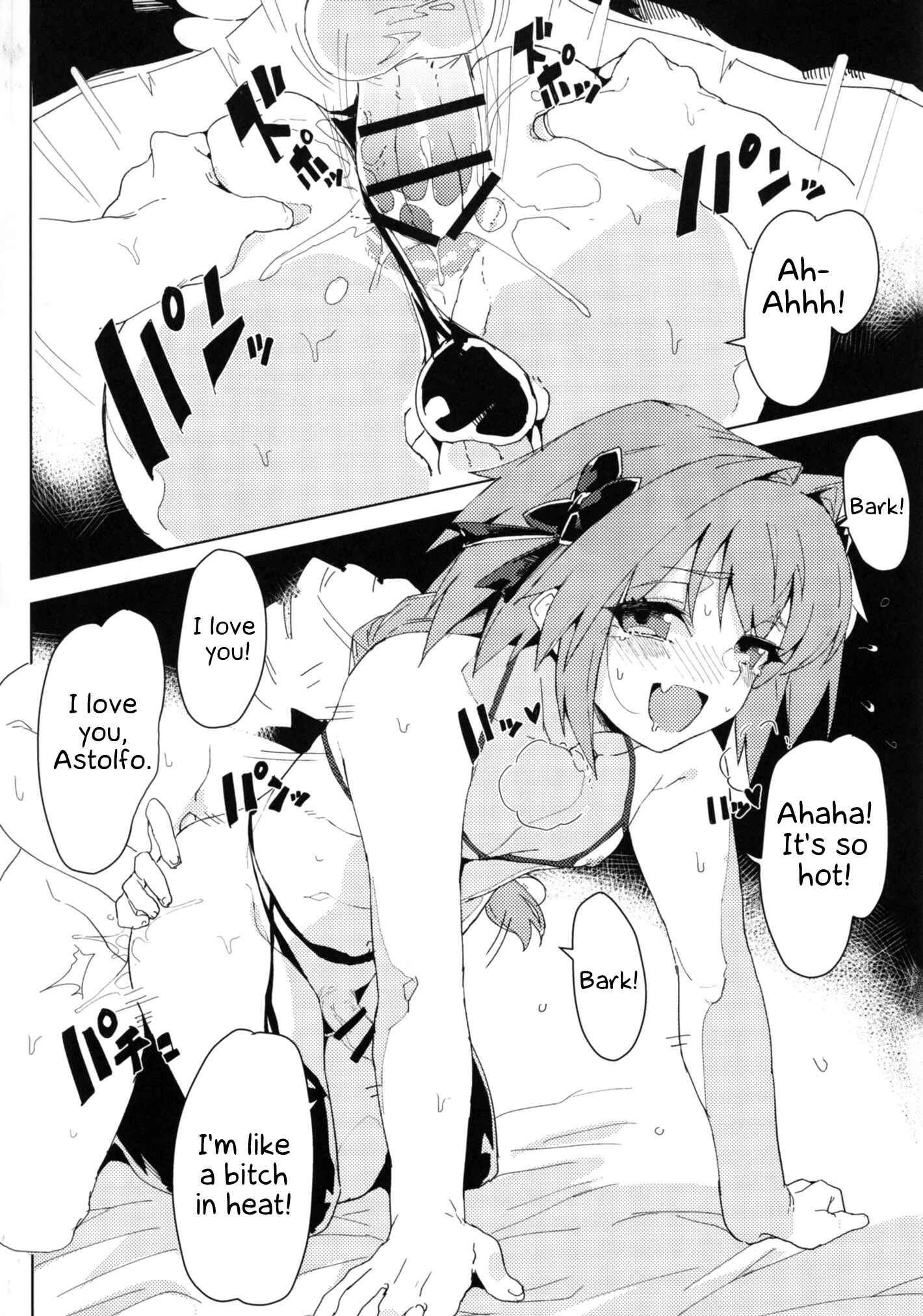 Page 15 Chapter Unknown_a695 Fate/Grand Order - Josou Master to Astolfo ga H na Koto Suru Hon (Doujinshi)