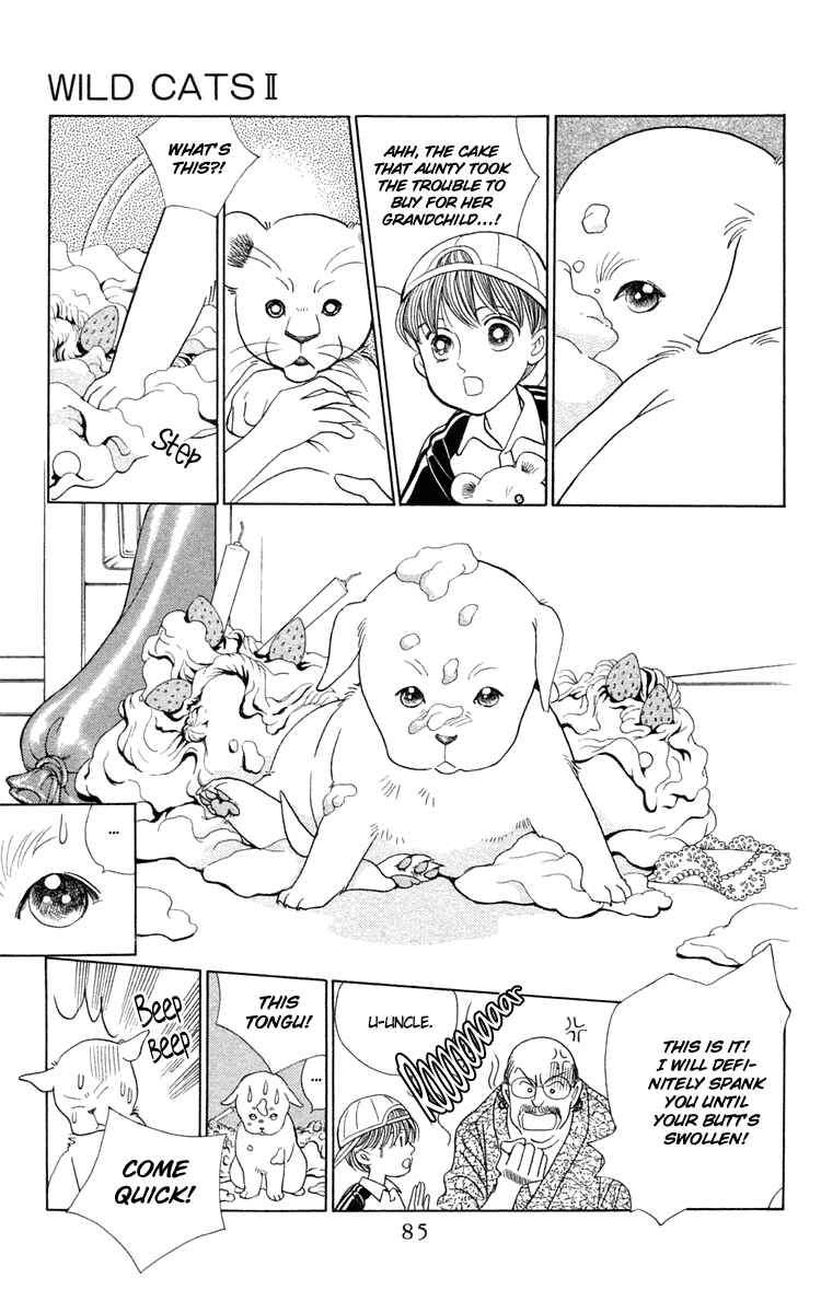 Page 11 Chapter 2 Wild Cats